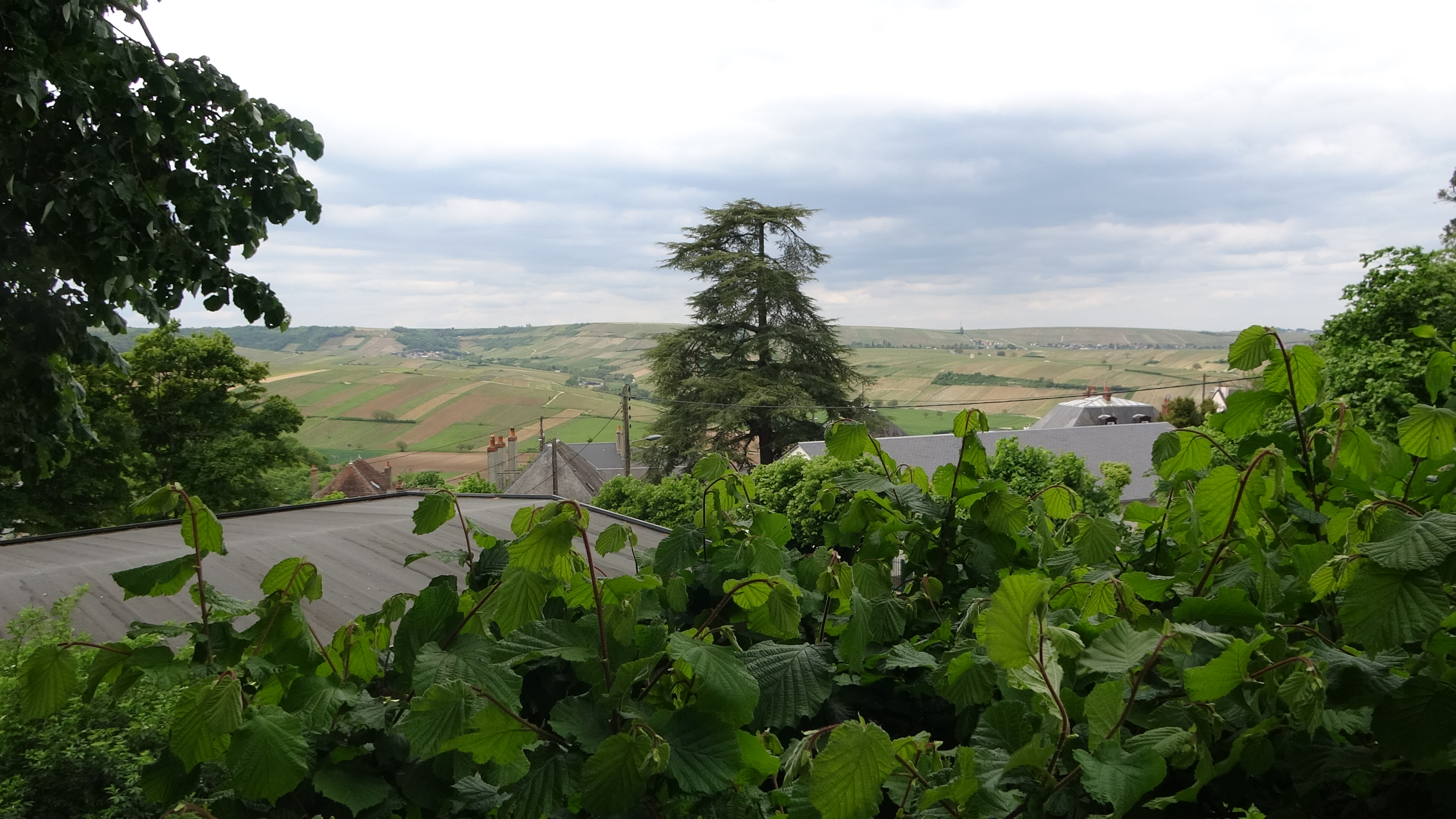 Sancerre, Ausblick 2