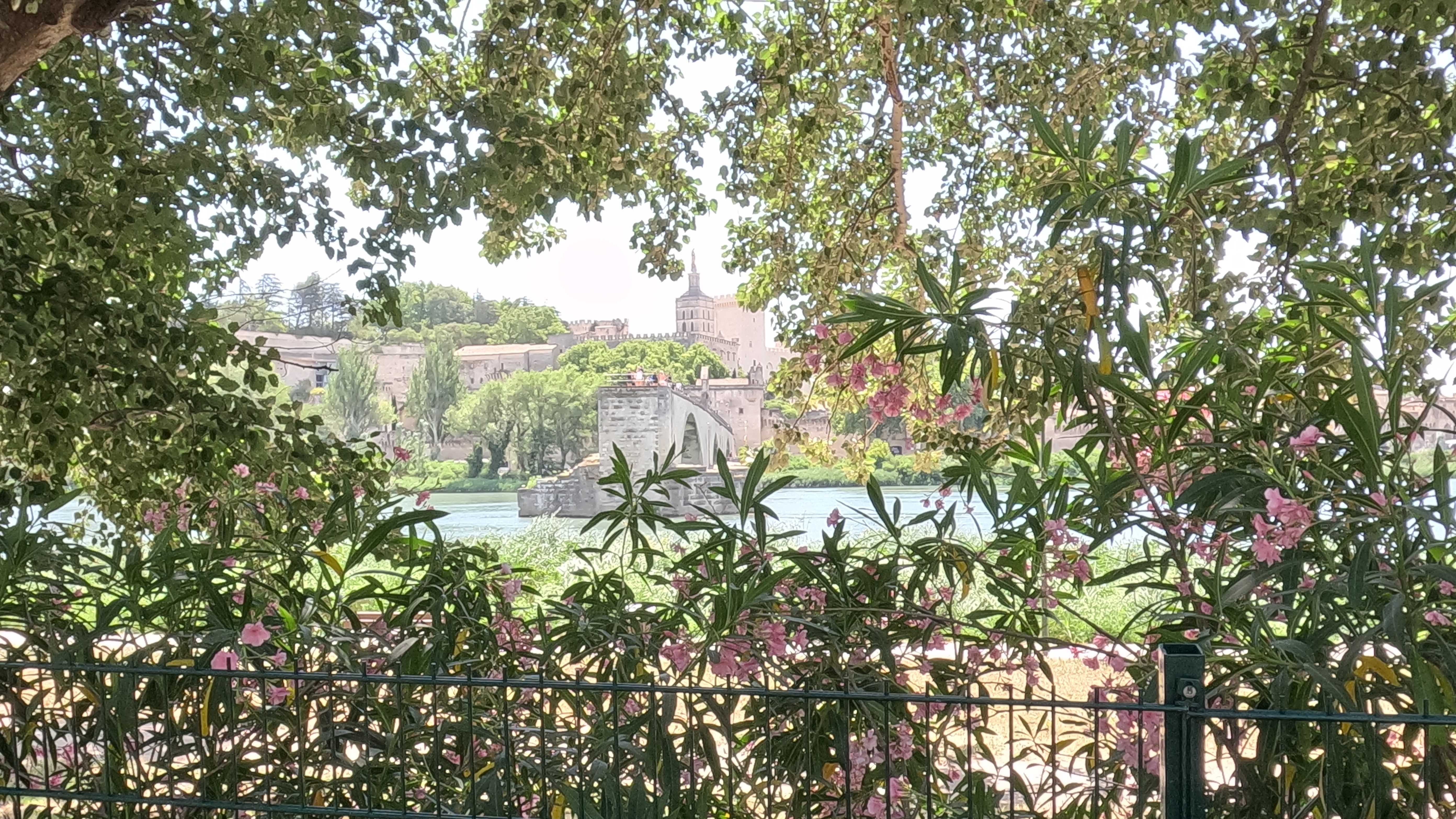Avignon Pont vom CP